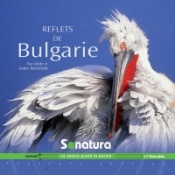 Sonatura n° 7 - Bulgarie