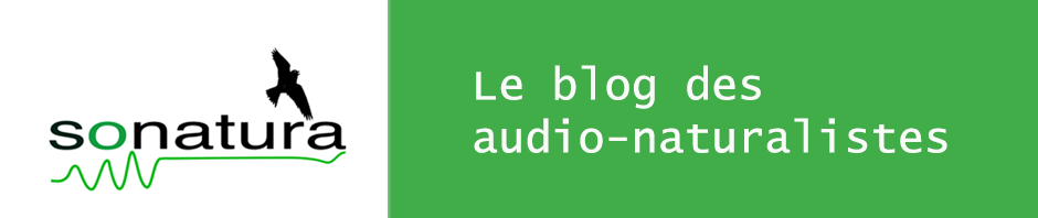 Sonatura audioblog
